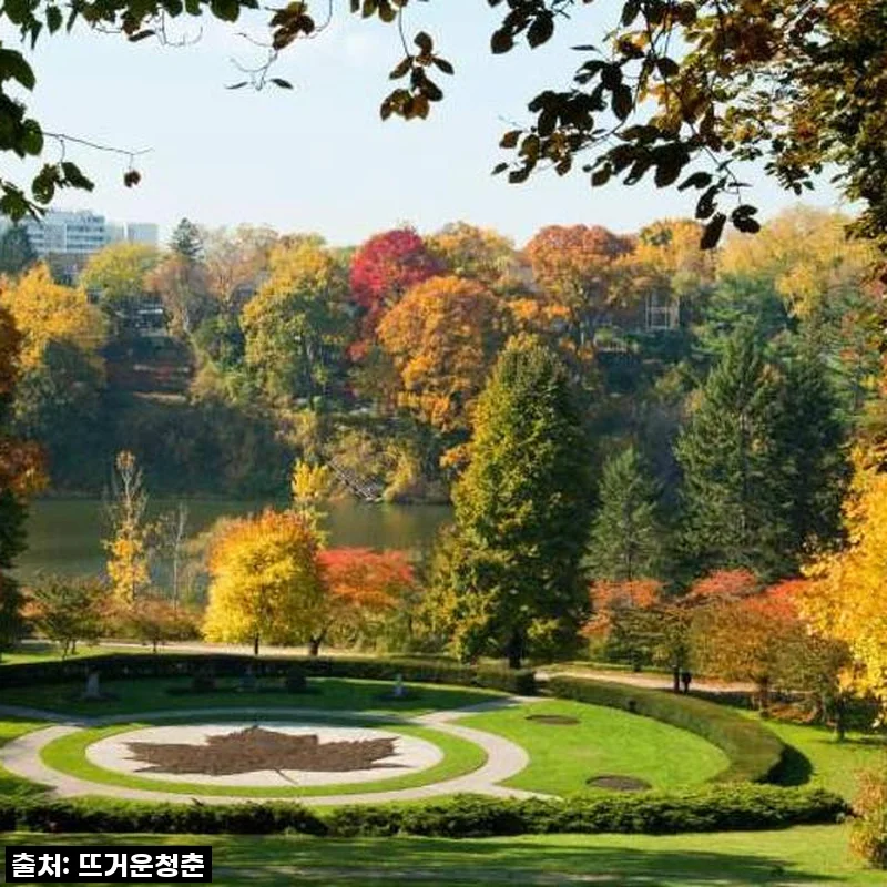 뉴욕 출발! 5일간의 꿈같은 캐나다 동부 대탐험, 직접 다녀오니 이런 점이 좋았어요! ✨