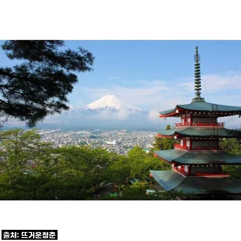 도쿄에서 후지산 프라이빗 1일 투어, 내 인생 최고의 선택! ✨ (할인 꿀팁 대방출!)