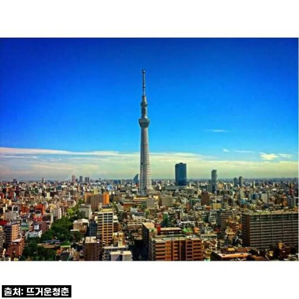 일본 현지인과 함께하는 도쿄 프라이빗 웰컴 투어, 이거 완전 물건이네!