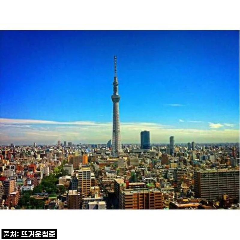 일본 현지인과 함께하는 도쿄 프라이빗 웰컴 투어, 이거 완전 물건이네!