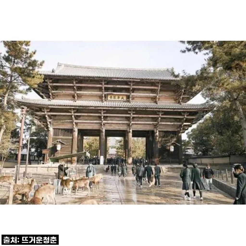 오직 나만을 위한 특별함! '일본 현지인처럼 나라: 맞춤형 가이드 투어' 찐 후기