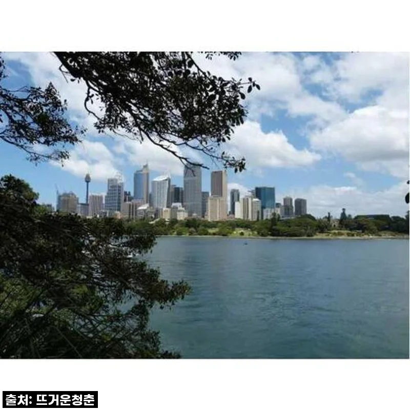 이 가격 실화?! 시드니 현지인 맞춤 투어, 내 인생 최고의 여행이었다! ✨