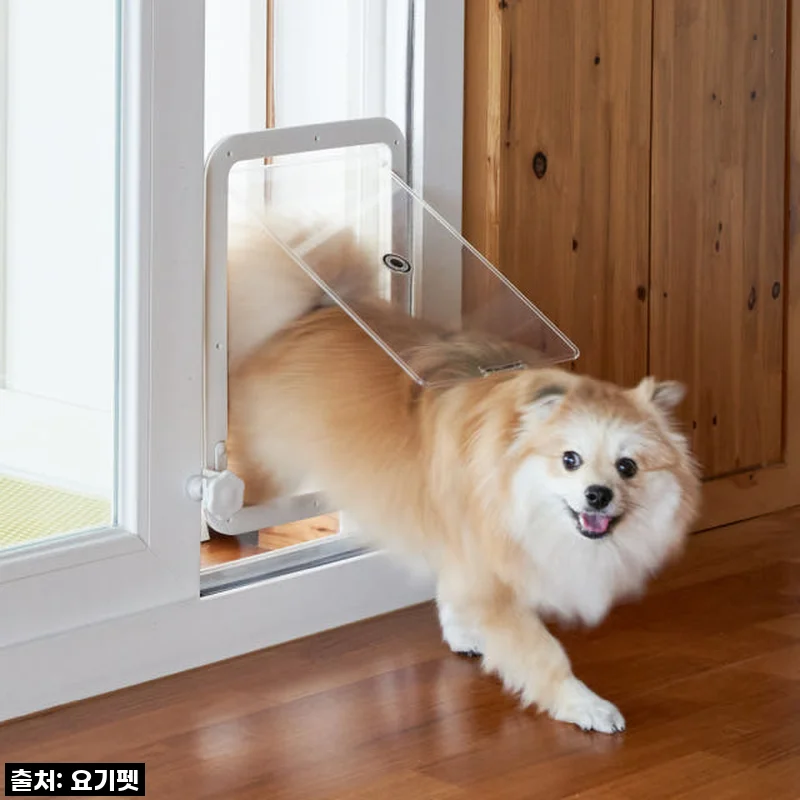 요기펫 높이조절 펫도어, 이거 없인 못 살아! 찐 집사라면 무조건 들이세요!