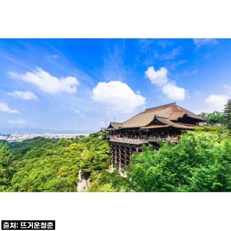 교토 여행, 이제 헤매지 마세요! 현지 가이드와 함께한 완벽한 프라이빗 투어 찐후기