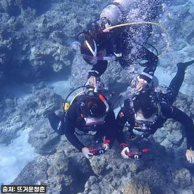 오키나와 케라마제도 다이빙, 자격증 관련 이미지 1