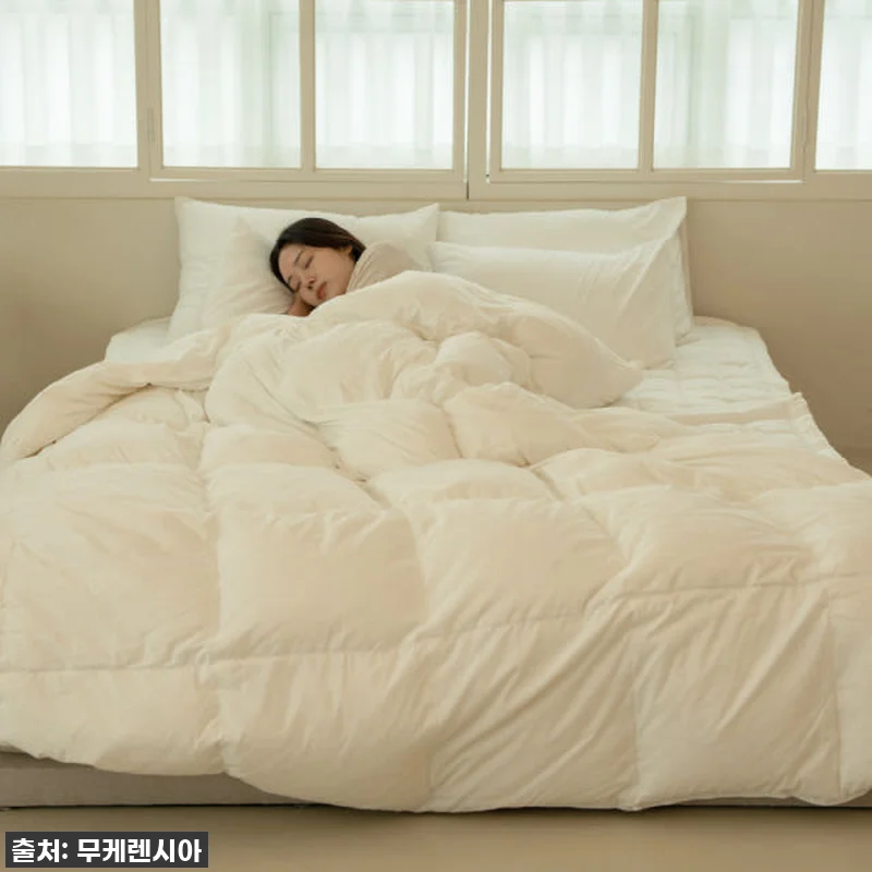 브리즈우드가든 폴란드구스 알러지케어 관련 이미지 1