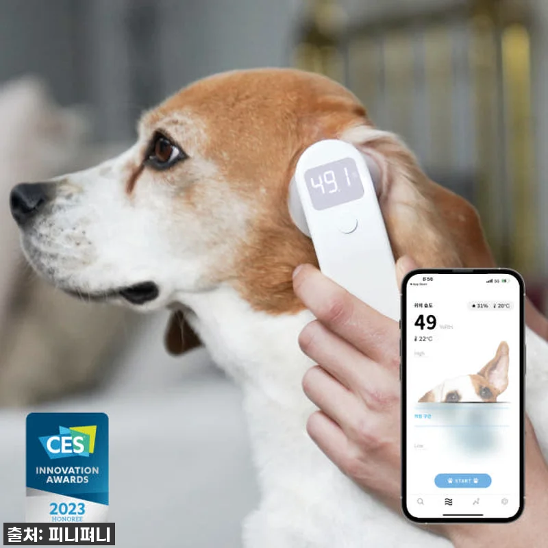 우리 아이 귓병 탈출! 디버펫 강아지 관련 이미지 2