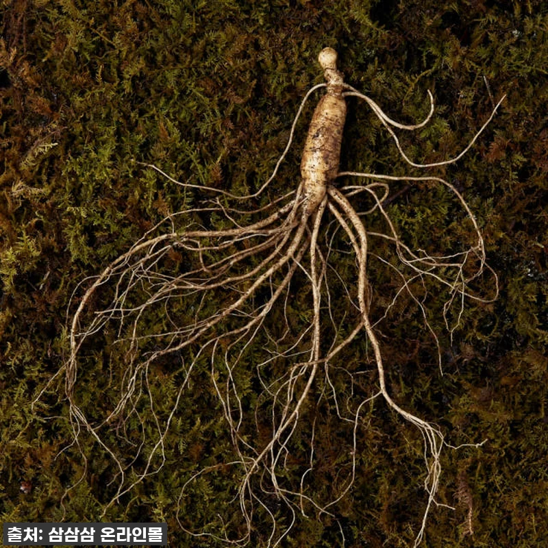 사랑하는 마음 담아 준비한, 강원도 관련 이미지 2