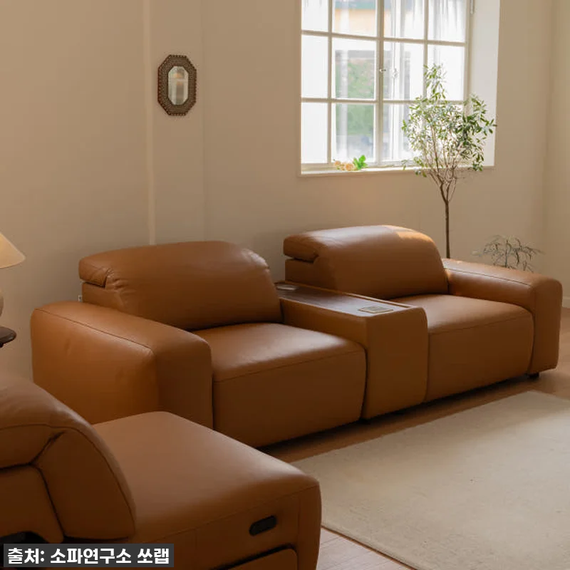 우리 집 거실의 품격을 높여준 '가죽 관련 이미지 2
