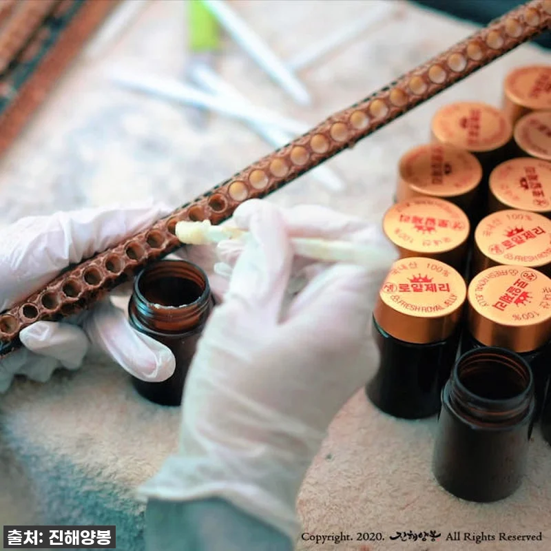 진해양봉 생로얄제리, 지친 나에게 선 관련 이미지 3