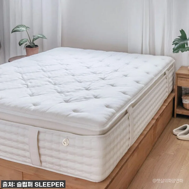 밤마다 호텔로 순간이동? 슬립퍼 시그 관련 이미지 3