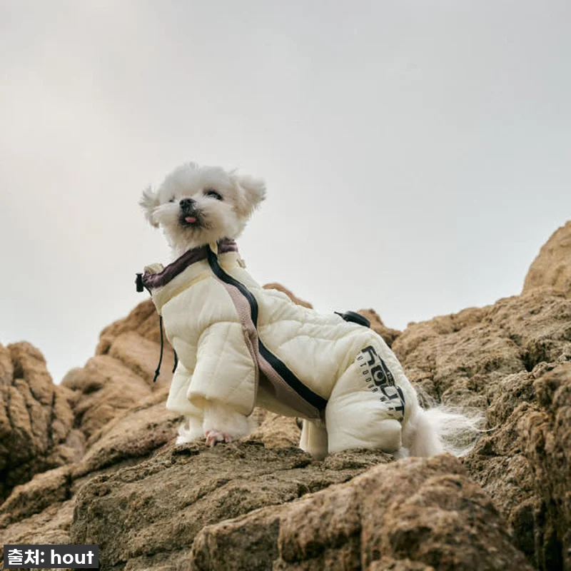 우리 솜이 겨울 패딩? '하웃 강아지 관련 이미지 3