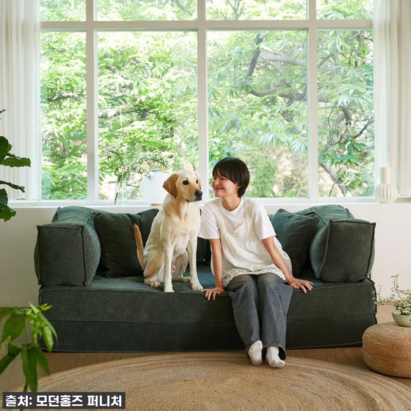 모던홈즈 몽글 3인 방수 패브릭 압축 관련 이미지 5