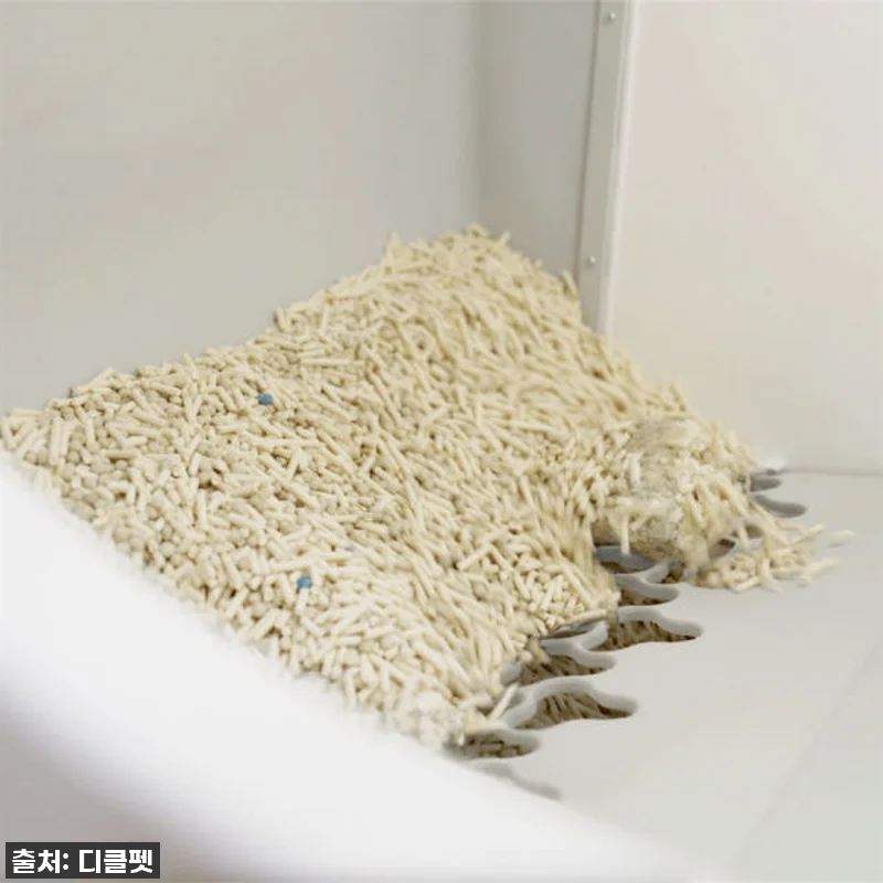 드디어 찾았다! 디클펫 에어로보 C1 관련 이미지 7