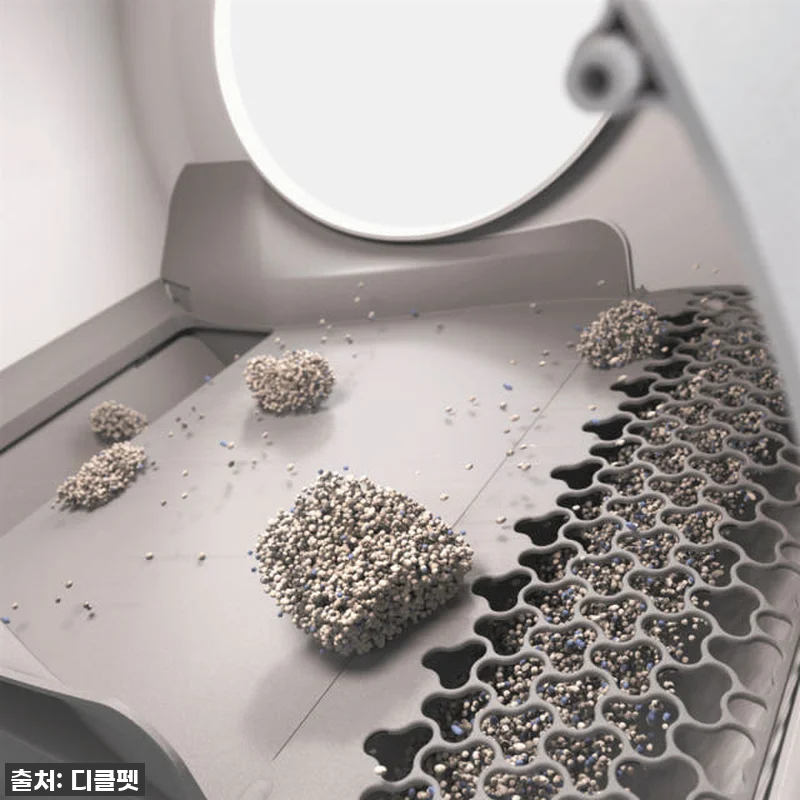 드디어 찾았다! 디클펫 에어로보 C1 관련 이미지 8