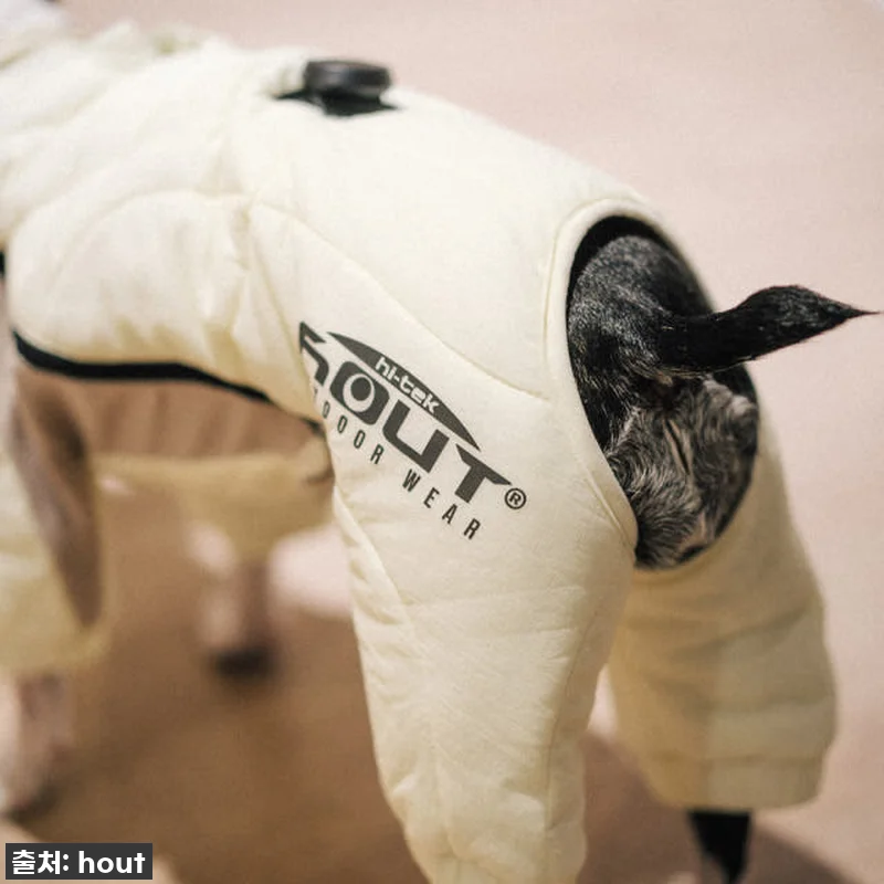 우리 솜이 겨울 패딩? '하웃 강아지 관련 이미지 8