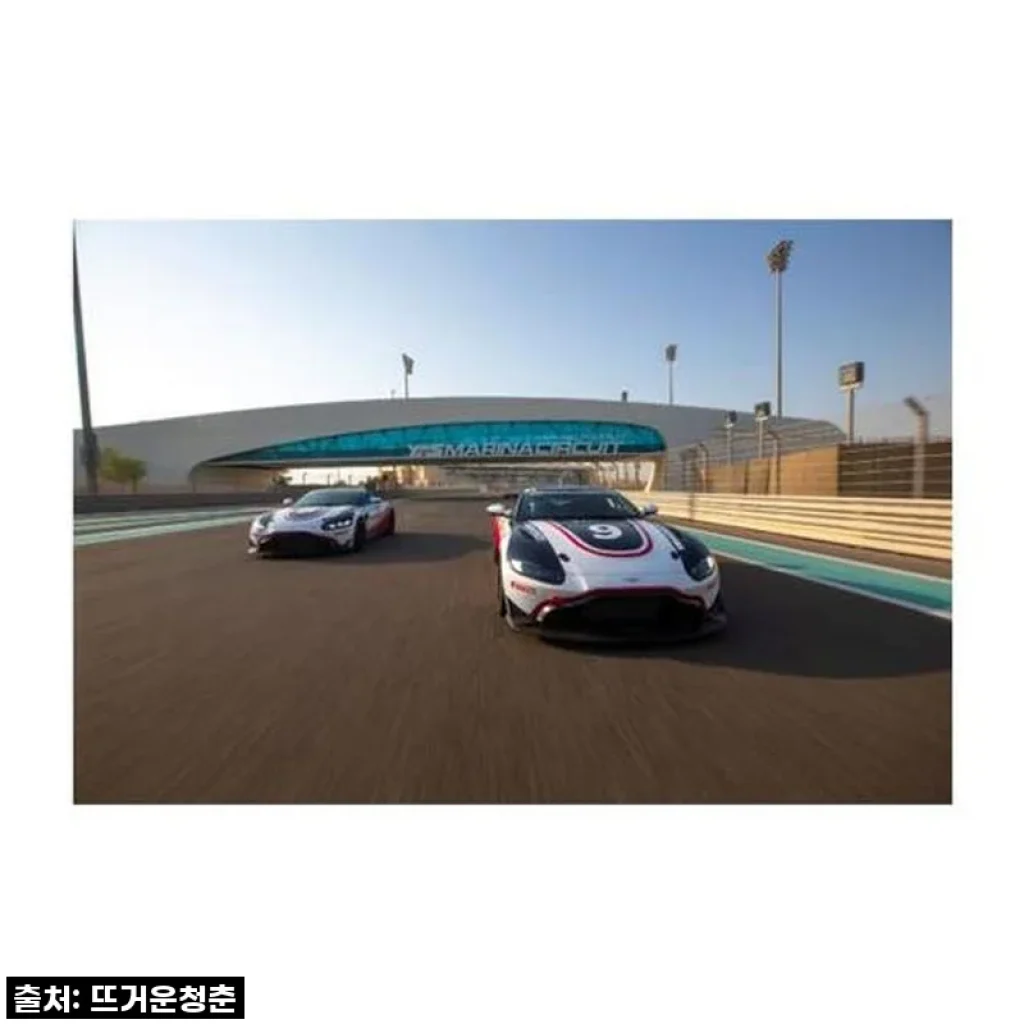 심장이 쿵! 아부다비 야스 마리나 서킷 드라이빙, 진짜는 달라요!