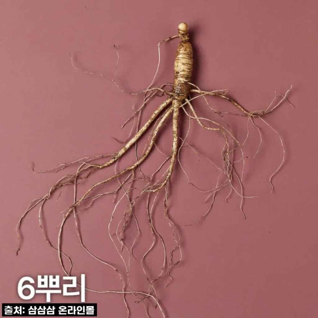 사랑하는 마음 담아 준비한, 강원도 7,8년근 산양산삼 내돈내산 후기!