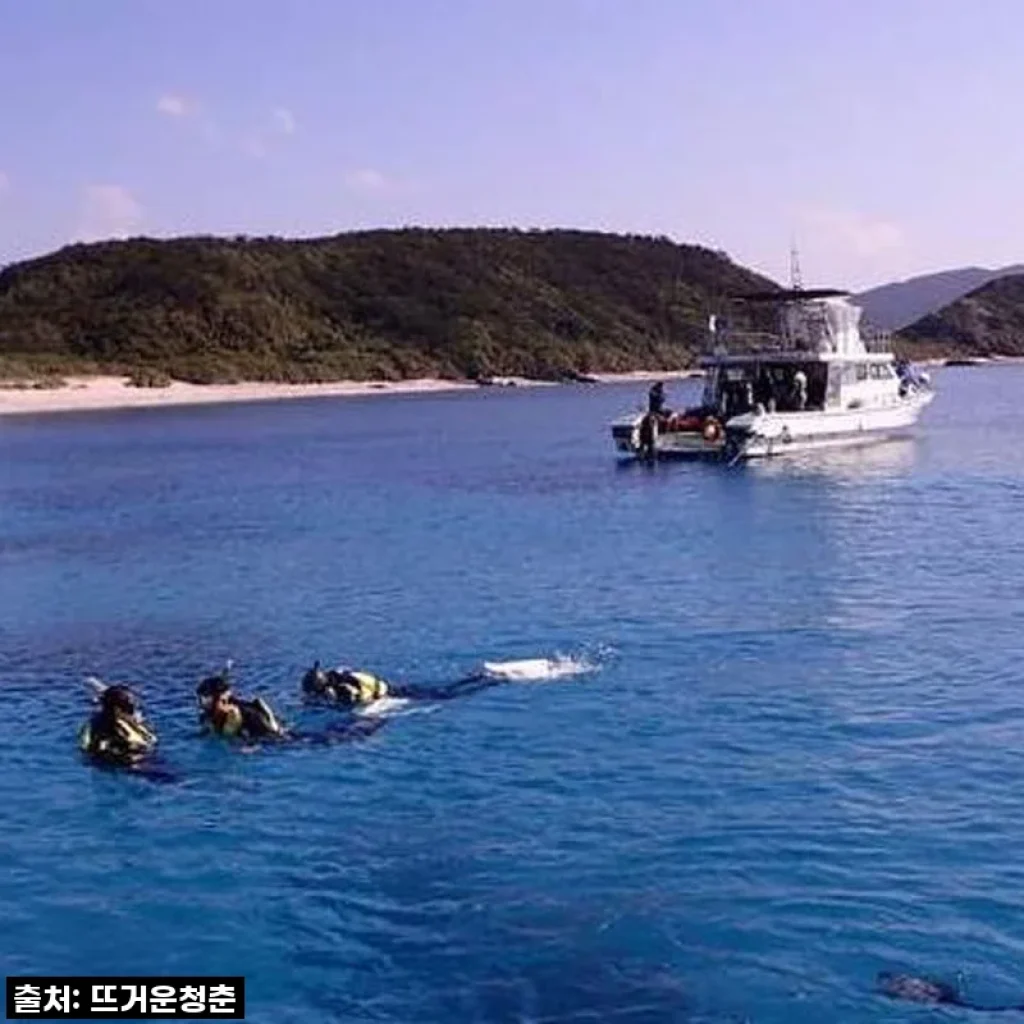 오키나와 케라마제도 다이빙, 자격증 없이도 인생샷 남긴 1박 2일 솔직 후기!