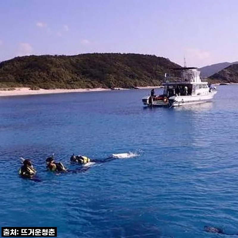 오키나와 케라마제도 다이빙, 자격증 없이도 인생샷 남긴 1박 2일 솔직 후기!