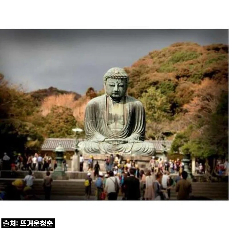 일본 도쿄 출발! 럭셔리 밴으로 가마쿠라 프라이빗 투어, 직접 경험해보니 어때요?