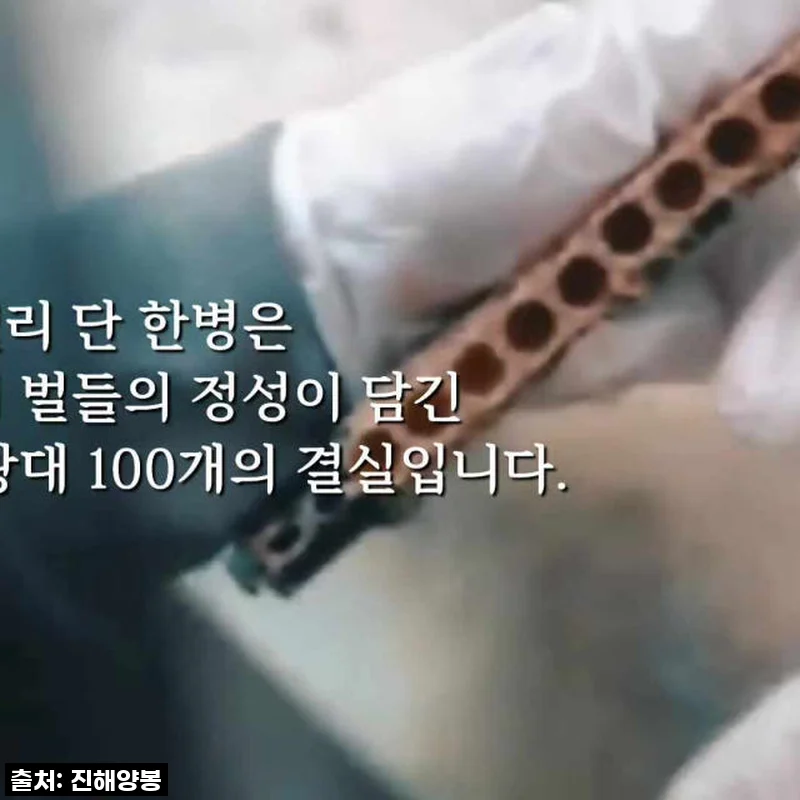 진해양봉 생로얄제리, 지친 나에게 선물한 활력 충전 후기! (국산 50g 4병)