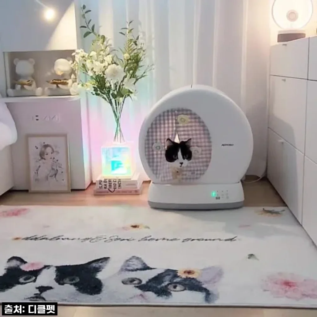 드디어 찾았다! 디클펫 에어로보 C10 Pro 자동 화장실, 냥이 집사 삶의 질이 수직 상승했어요!