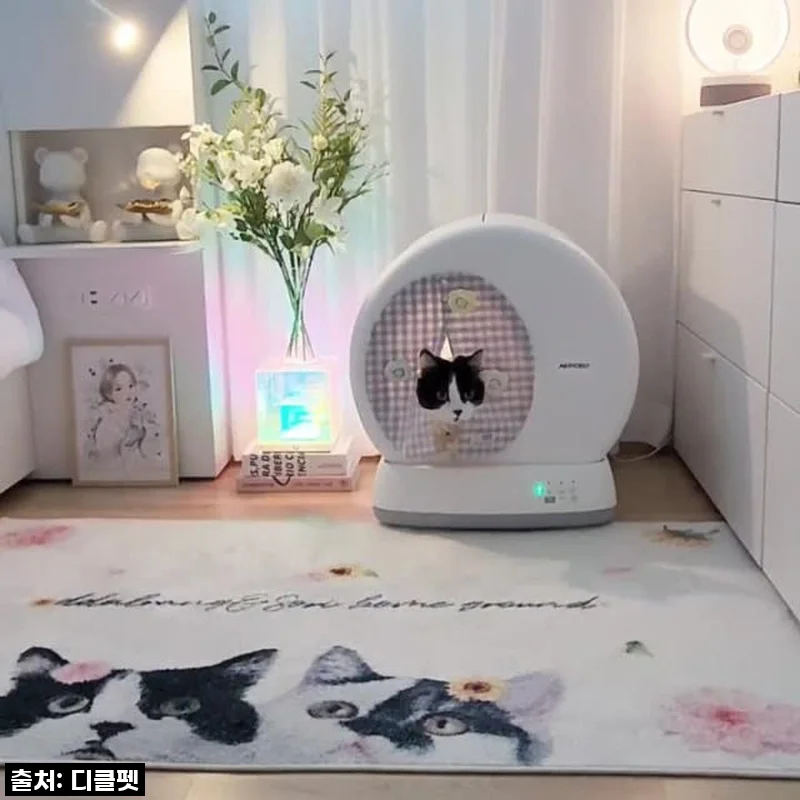 드디어 찾았다! 디클펫 에어로보 C10 Pro 자동 화장실, 냥이 집사 삶의 질이 수직 상승했어요!