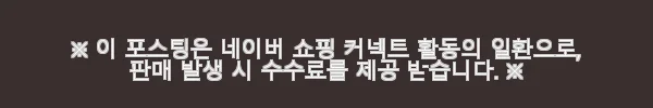 블루에티 파워뱅크 AC70P 사용후기: 캠핑과 일상에 딱 맞는 올인원 인산철 보조 배터리 12 이해관계문구