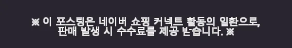 롤라미니 CCTV 로봇으로 집안 순찰하며 펫캠 사용 후기 11 이해관계문구
