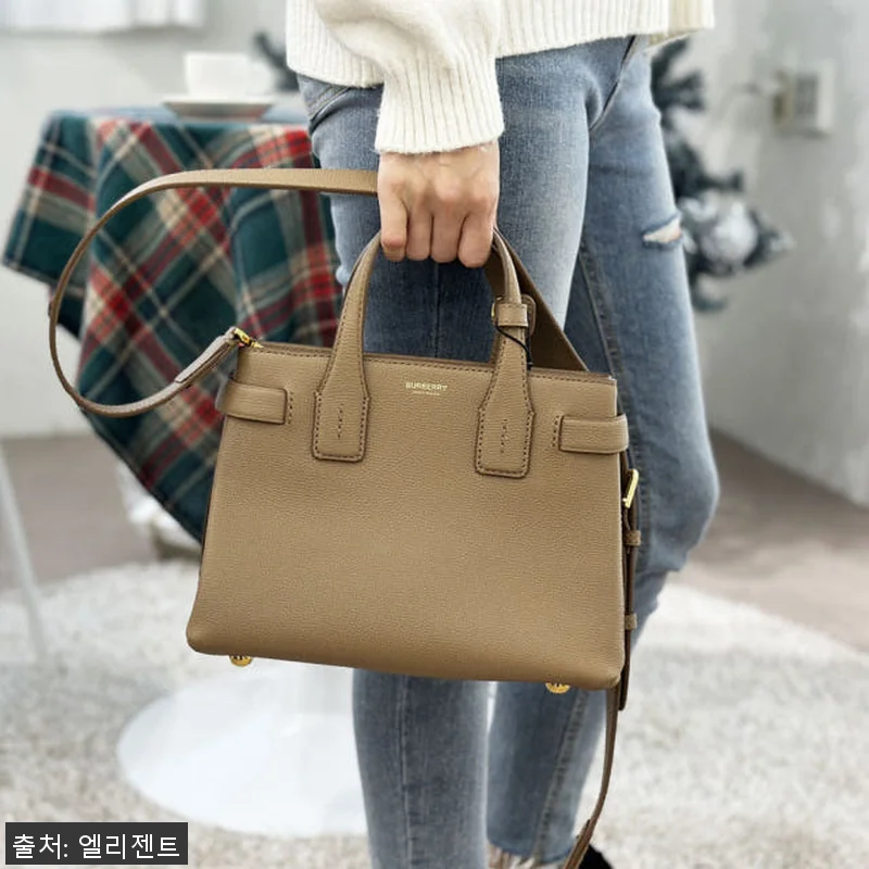 버버리 하우스 체크 뉴 배너백 스몰 관련 이미지 1