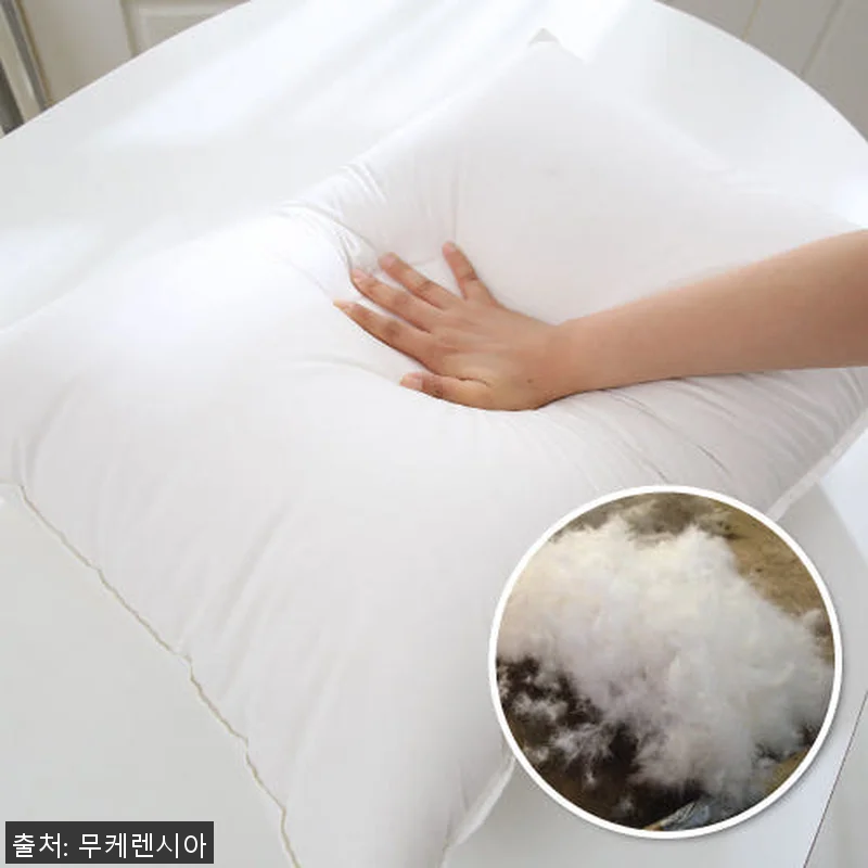 브리즈우드가든 폴란드 구스다운 베개 관련 이미지 1