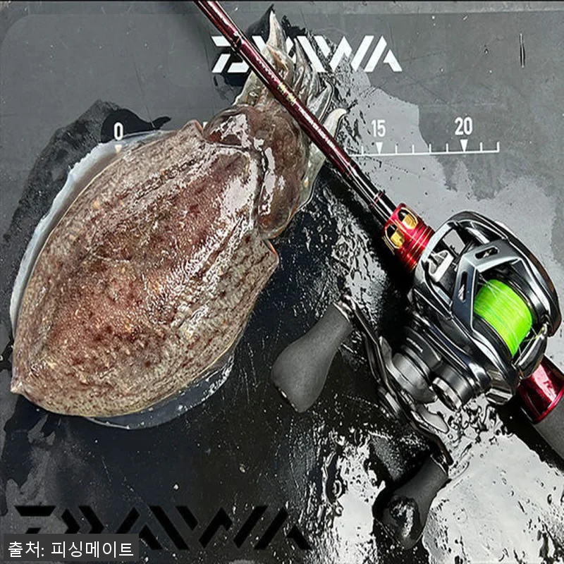 다이와 쿄쿠에이 타코이카 EX AGS 관련 이미지 1