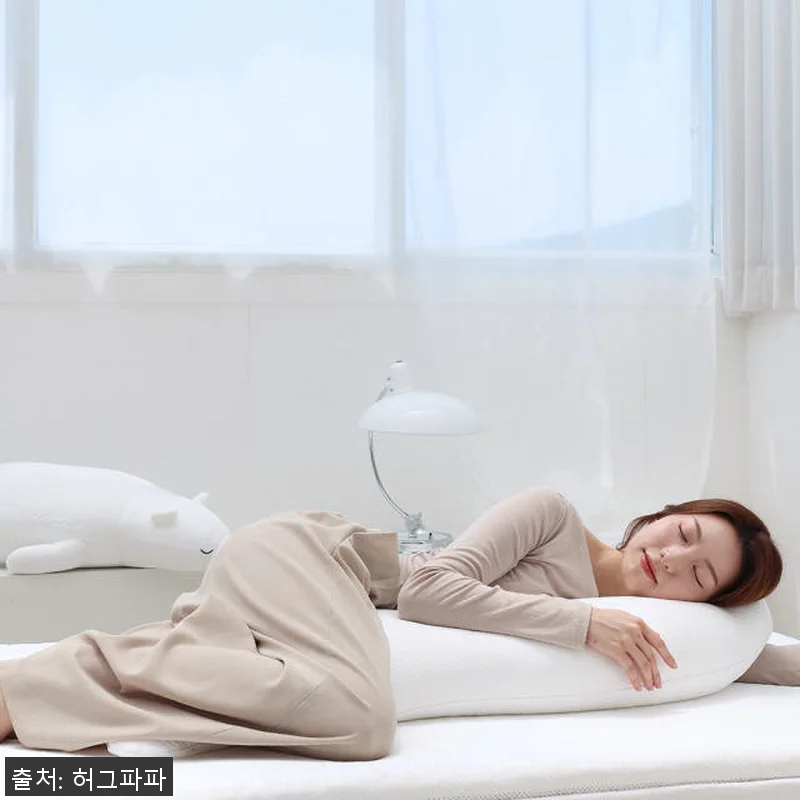 잠잠 임산부 바디필로우 베개 쿠션 S 관련 이미지 1