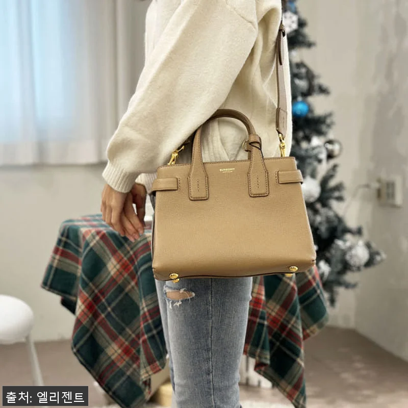 버버리 하우스 체크 뉴 배너백 스몰 관련 이미지 2