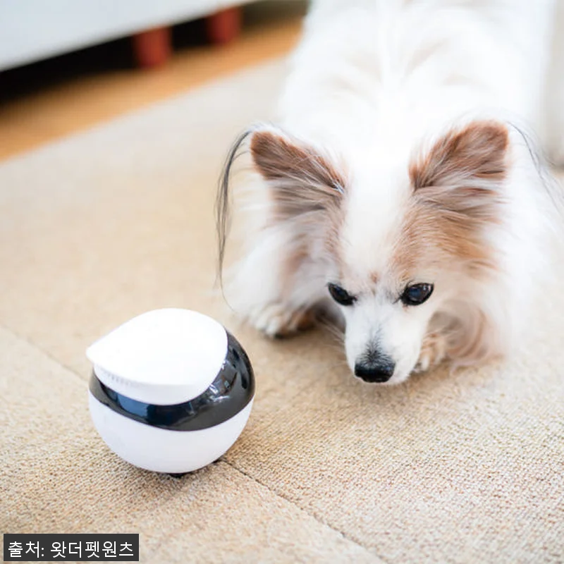 자동충전 이동식 CCTV ‘이보SE’ 관련 이미지 1