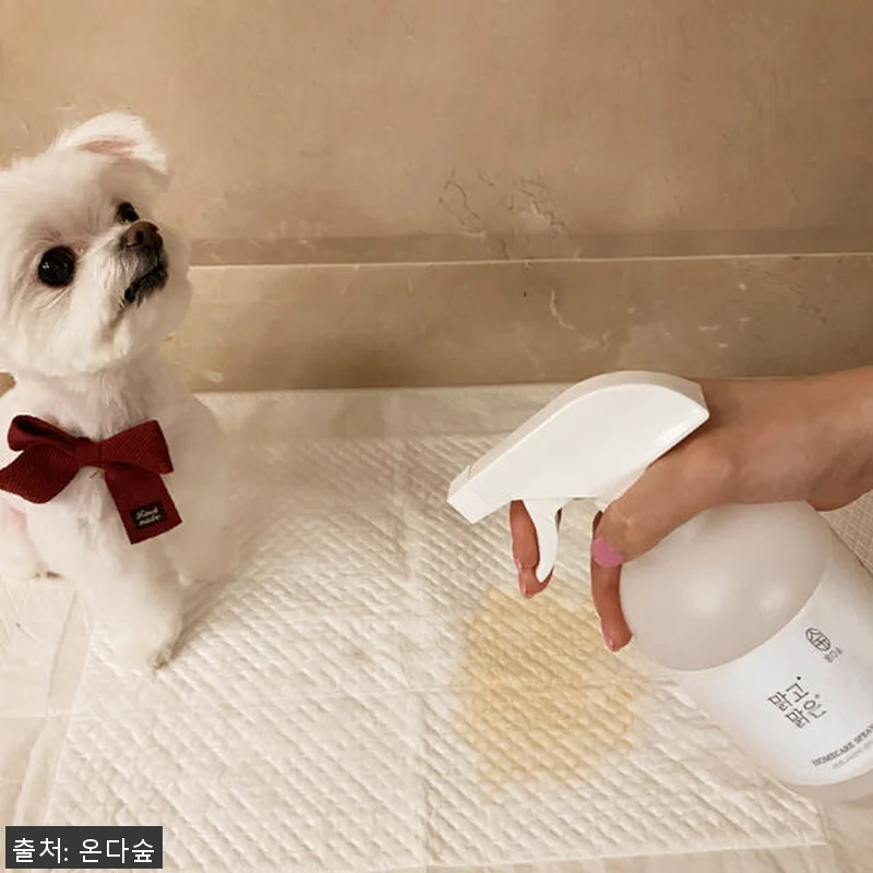 온다숲 아토피등록 편백나무원액 100 관련 이미지 3