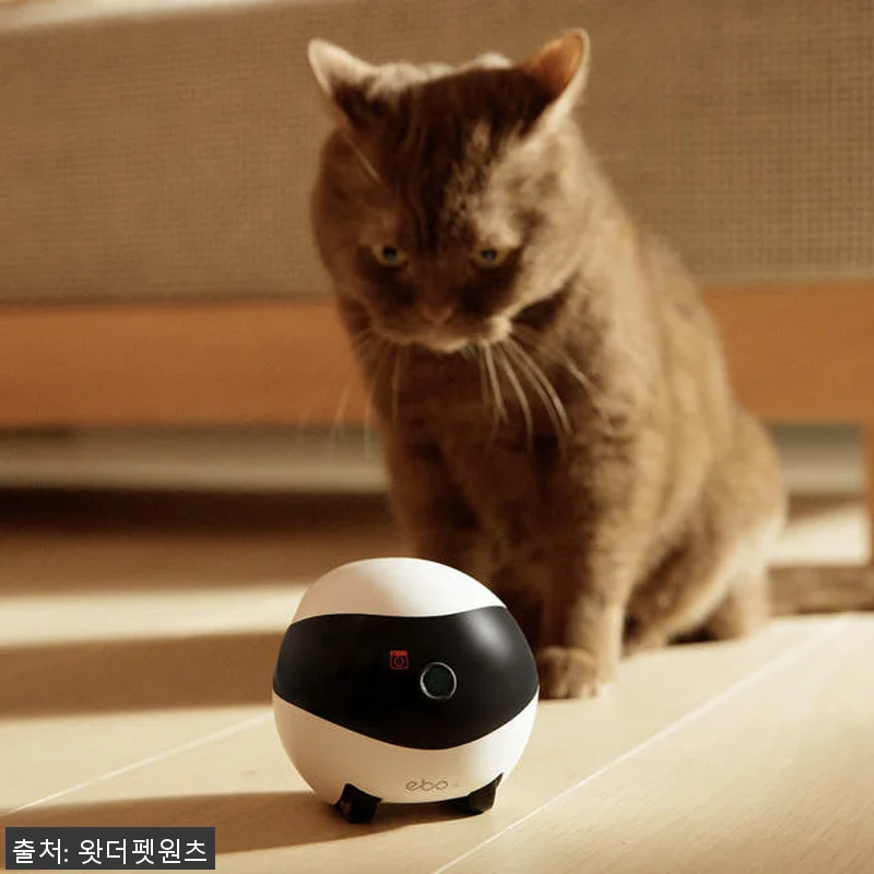 자동충전 이동식 CCTV ‘이보SE’ 관련 이미지 2