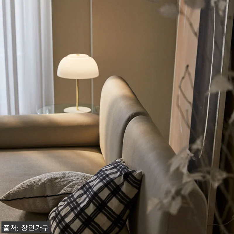 장인가구 비움 황토볼 온열 4인 가죽 관련 이미지 4