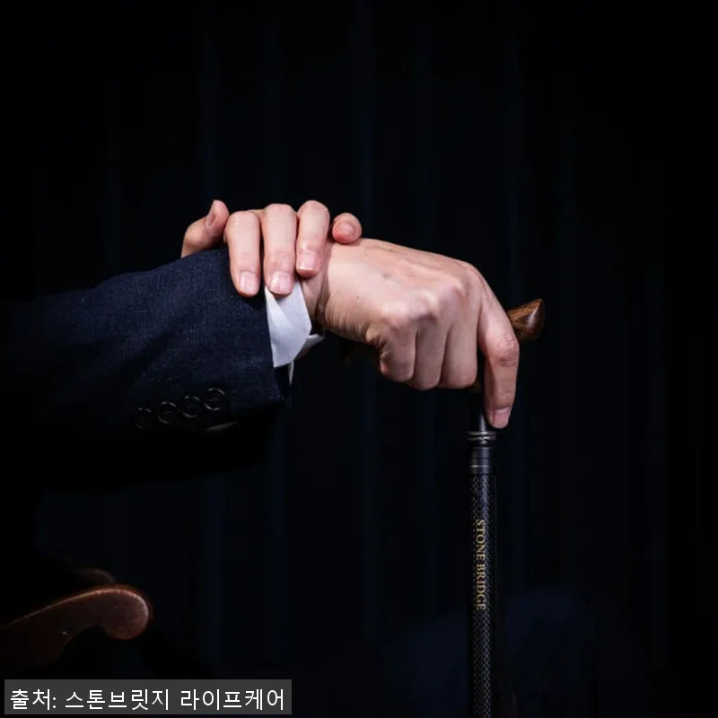 스톤브릿지 루미나 초경량 카본 어르신 관련 이미지 4