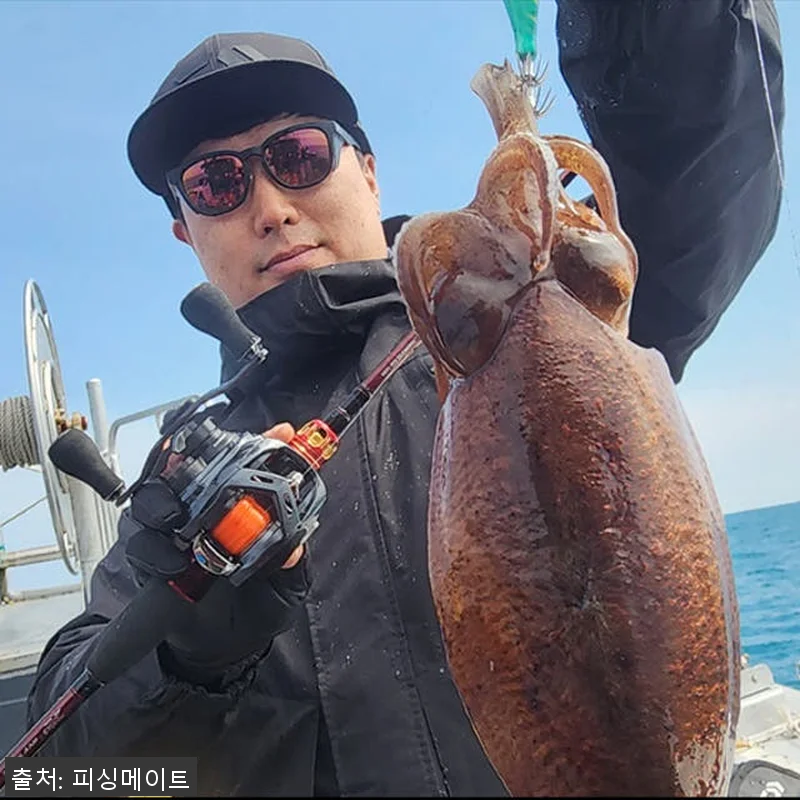 다이와 쿄쿠에이 타코이카 EX AGS 관련 이미지 5