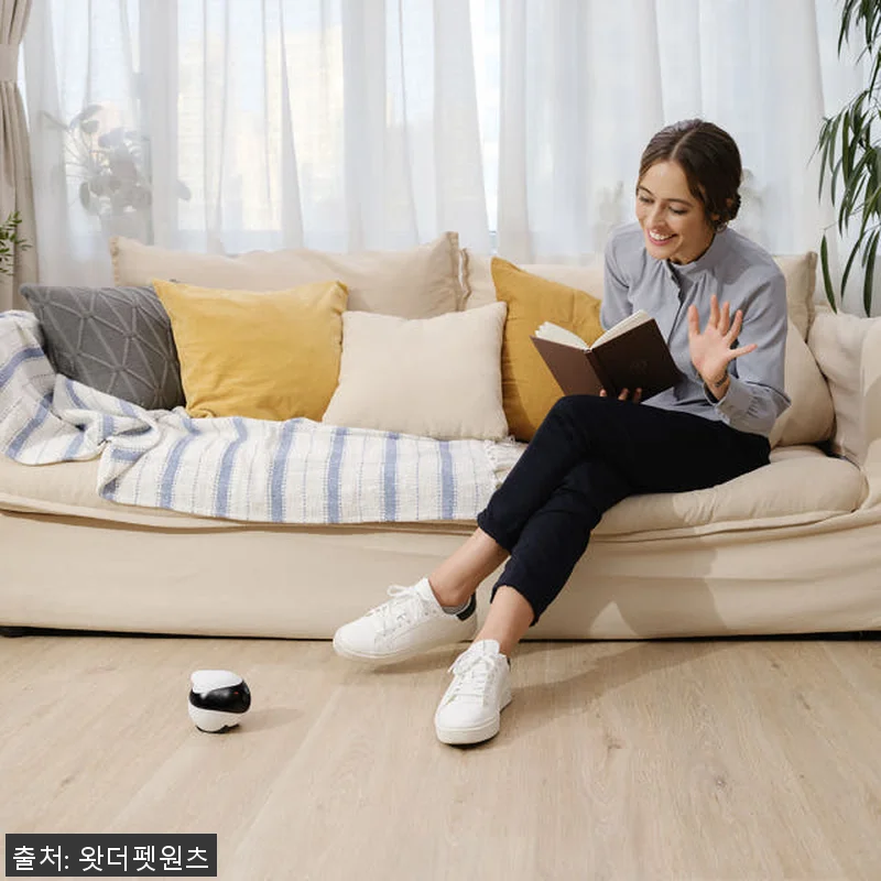 자동충전 이동식 CCTV ‘이보SE’ 관련 이미지 5