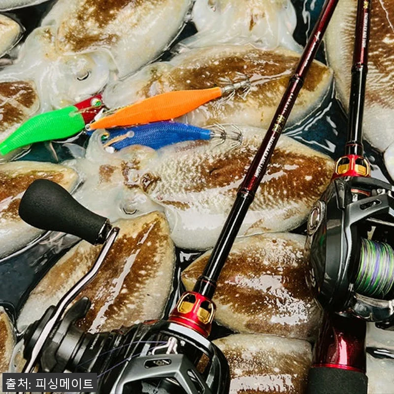 다이와 쿄쿠에이 타코이카 EX AGS 관련 이미지 8