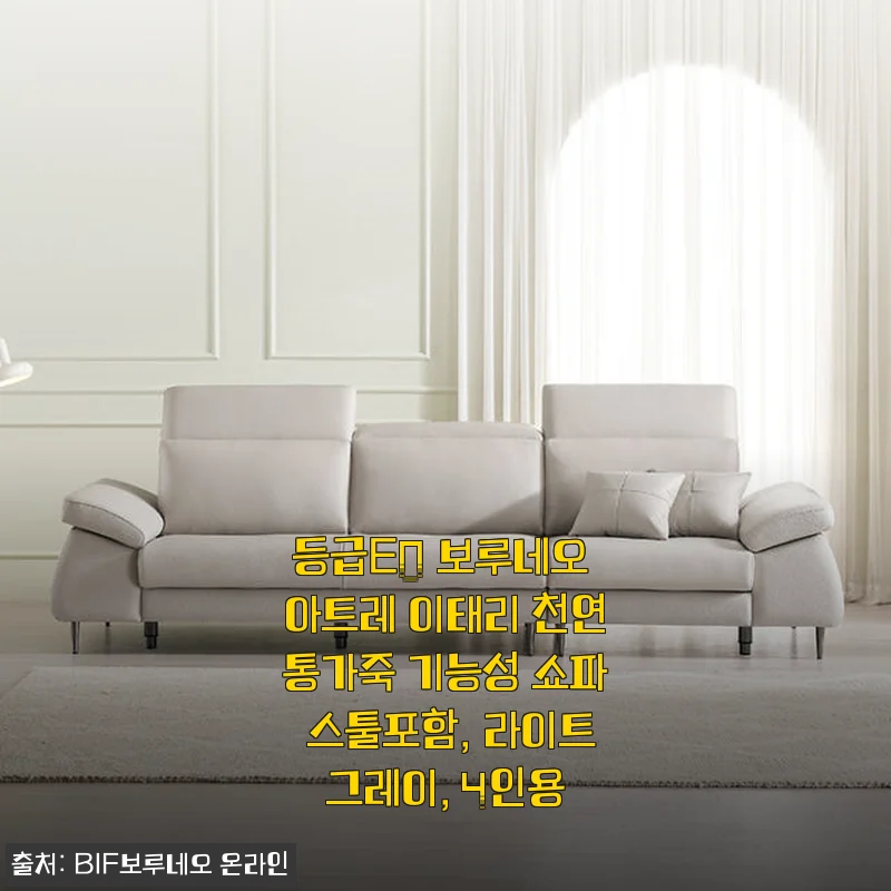 등급E0 보루네오 아트레 이태리 천연통가죽 기능성 쇼파 4인용 사용 후기