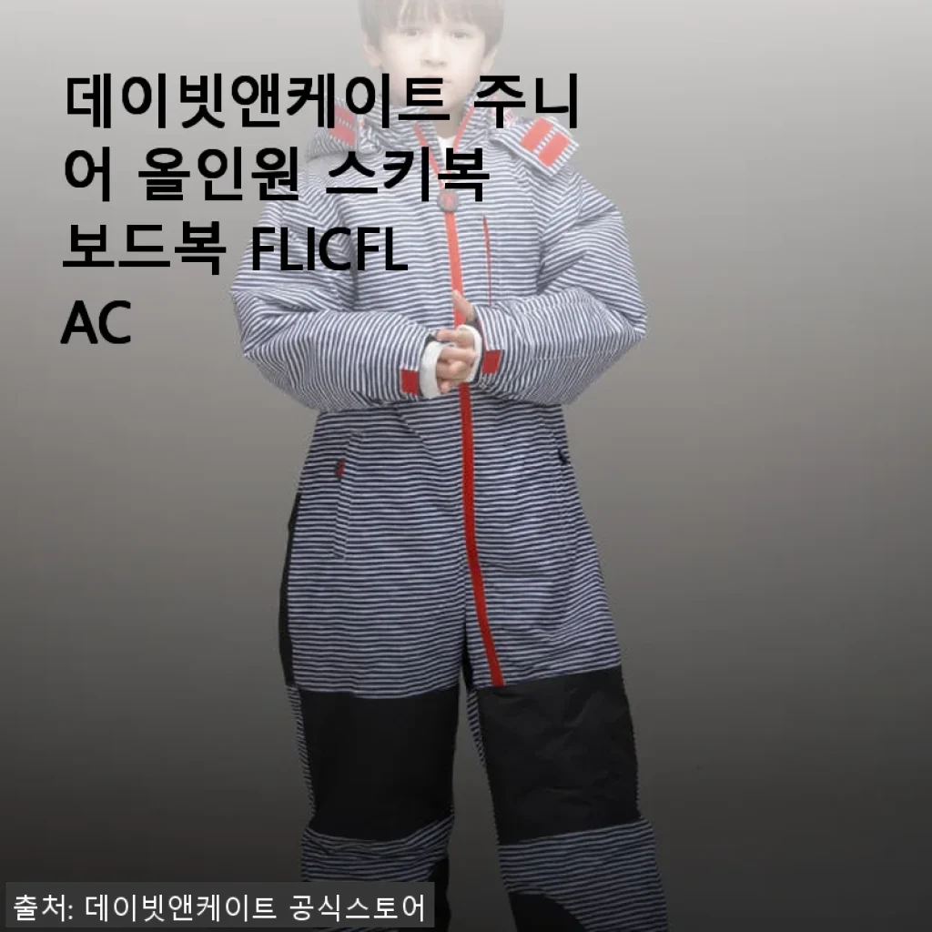 데이빗앤케이트 주니어 올인원 스키복 보드복 FLICFLAC 사용후기