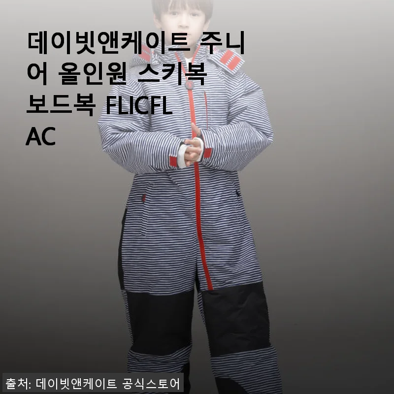 데이빗앤케이트 주니어 올인원 스키복 보드복 FLICFLAC 사용후기