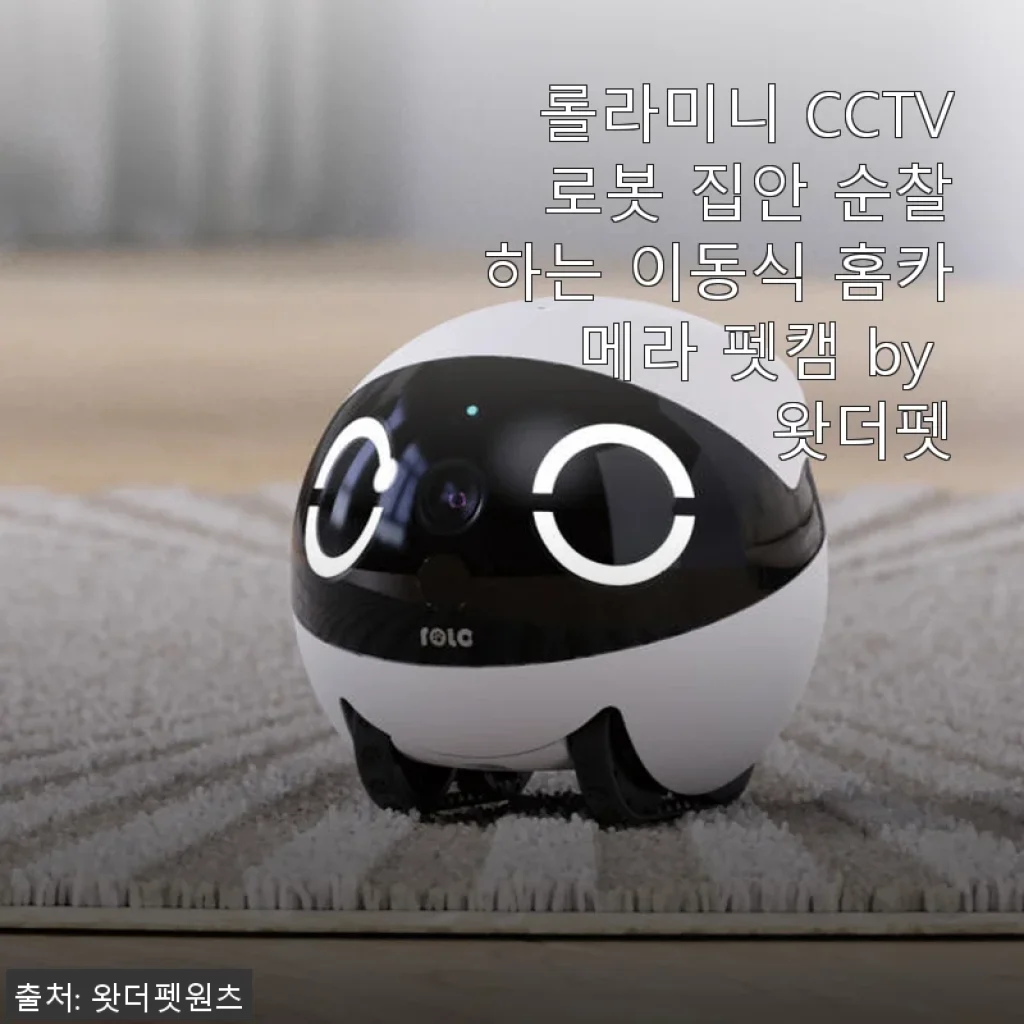 롤라미니 CCTV 로봇으로 집안 순찰하며 펫캠 사용 후기