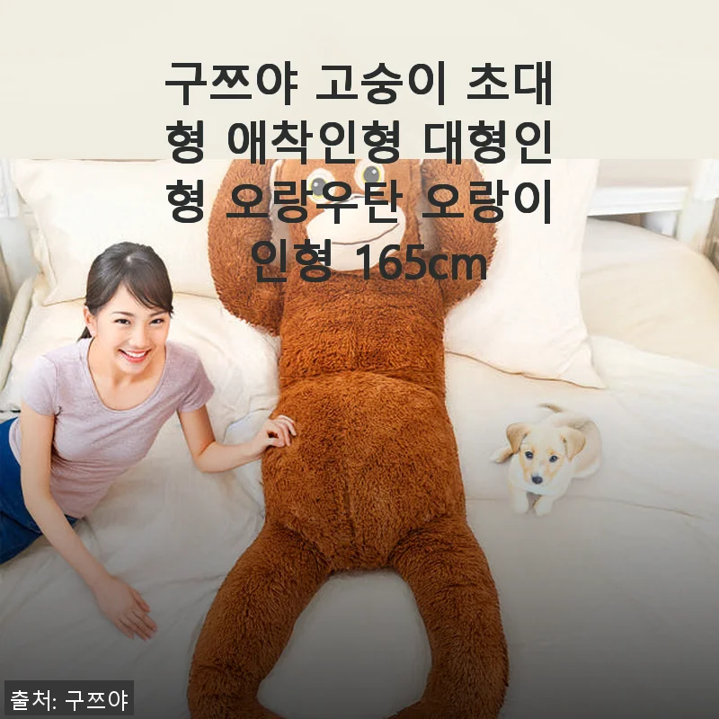 구쯔야 고숭이 초대형 애착인형 165cm 사용 후기