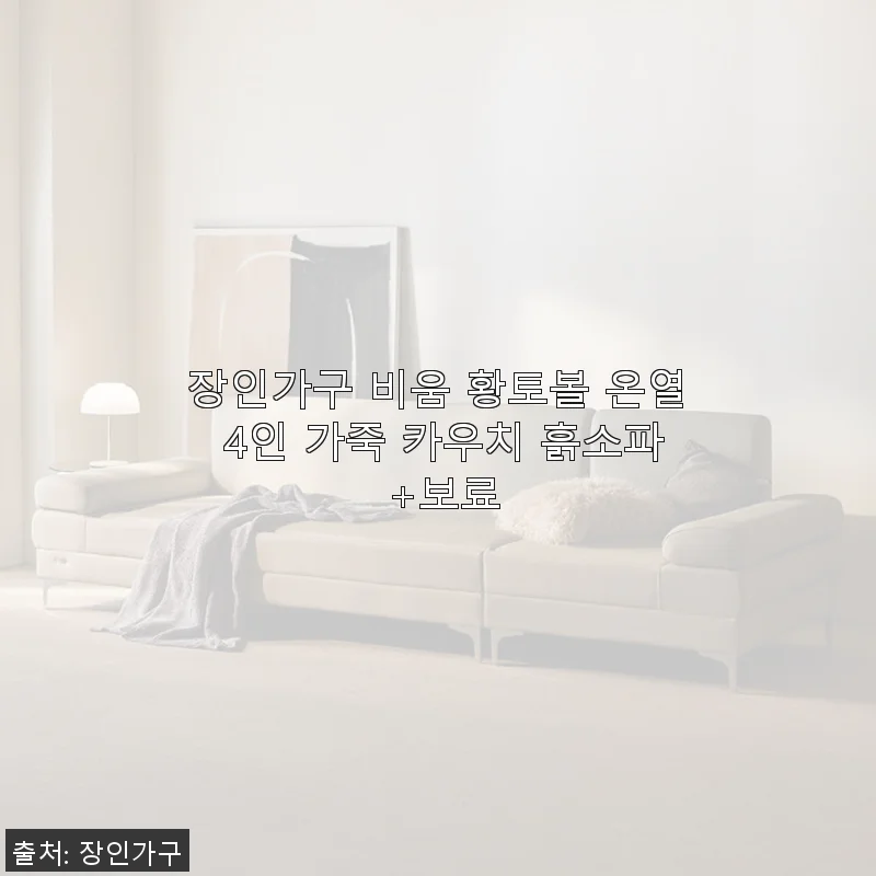 장인가구 비움 황토볼 온열 4인 가죽 카우치 흙소파 +보료 사용후기