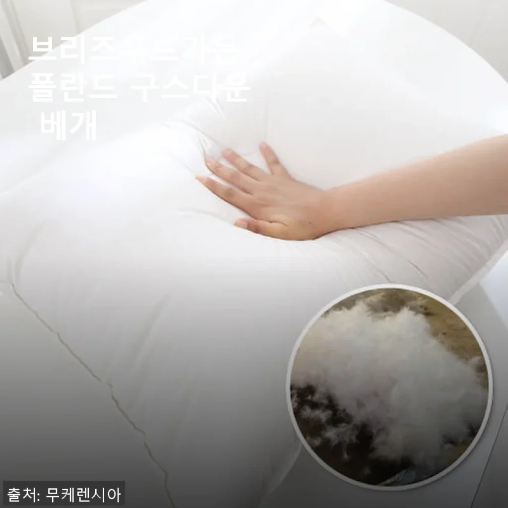 브리즈우드가든 폴란드 구스다운 베개 사용후기: 프리미엄 잠자리를 경험하다